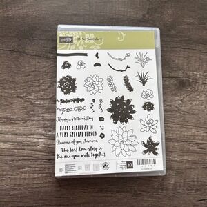 Stampin Up Oh So Succulent Photopolymer Stamp Set 30 Pieces Floral Crafting DIY